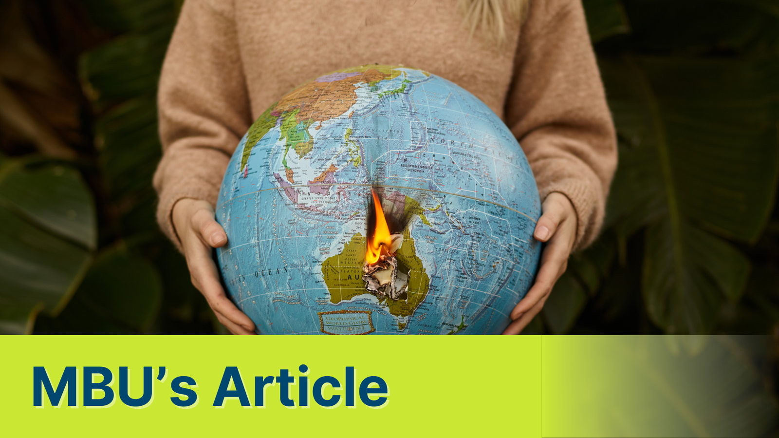ISO 14001 vs ISO 26000: Mana yang Lebih Penting? Memahami Peran dan Dampak Kedua Standar Internasional