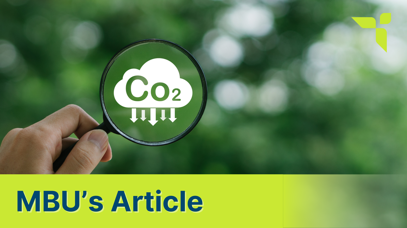BSN Adopsi Standar Carbon Capture Standar dari ISO. Apa Itu?